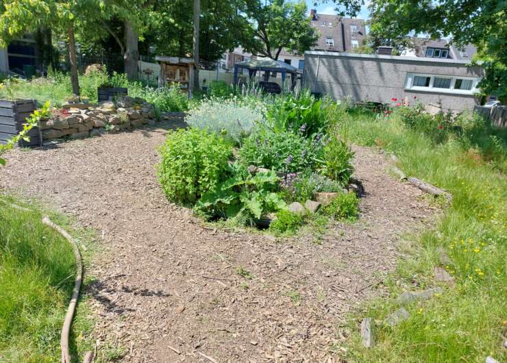 Unterstützung gesucht: 5000€ für den Schulgarten – mit EUREN/ IHREN Stimmen beim Wettbewerb