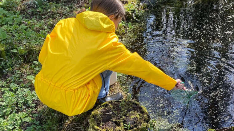 MINT-Woche am Kinderbauernhof in Neuss: von Insektenhotels, essbaren Kräutern, einer Gewässeranalyse bis zu Pellkartoffeln mit Kräuterquark