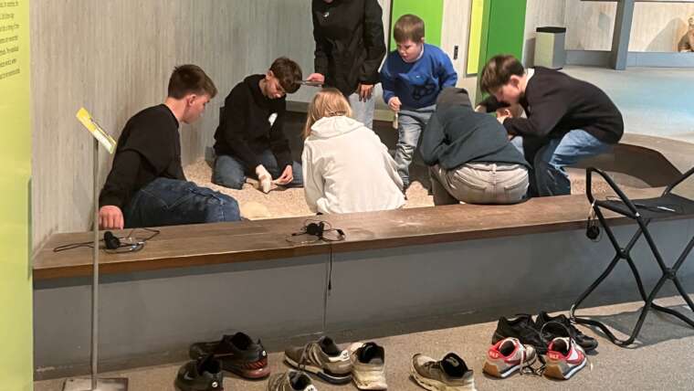 Spurensuche im Neanderthal – Klasse 7d auf MINT-Exkursion