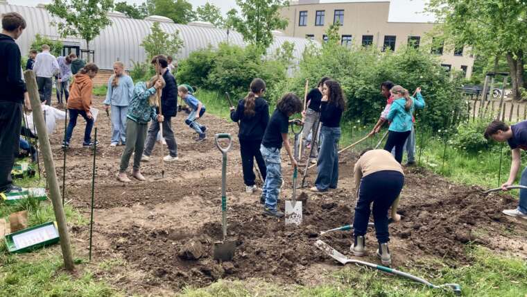 Endlich wieder: Ackern im Garten