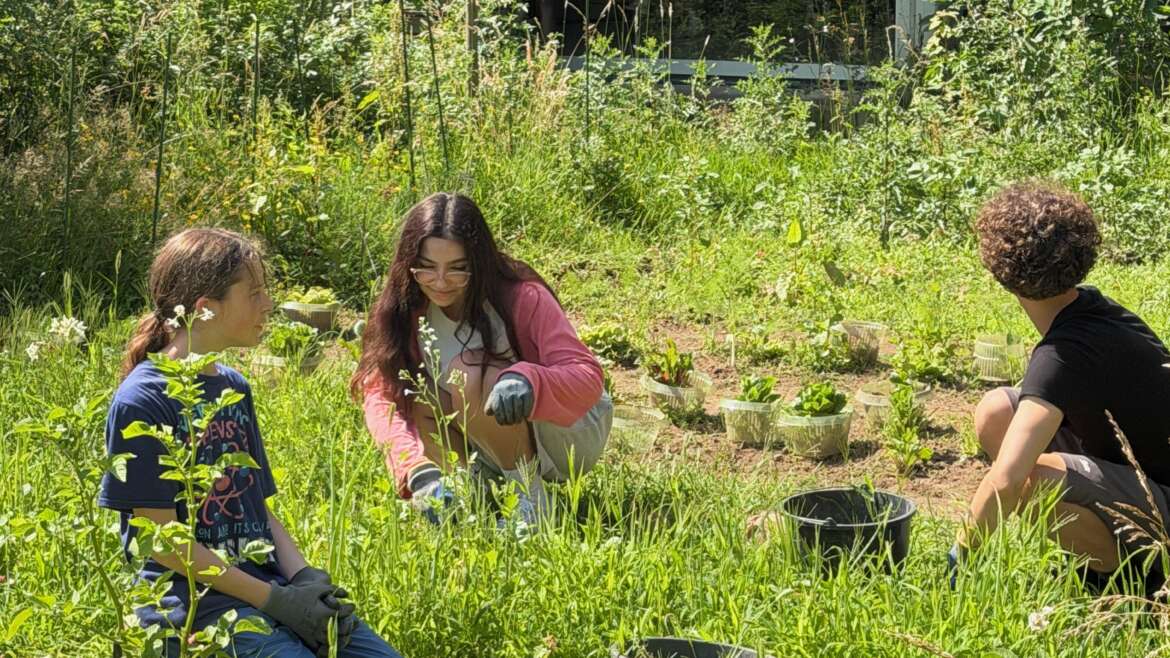 Neue Pflanzen für den Schulgarten