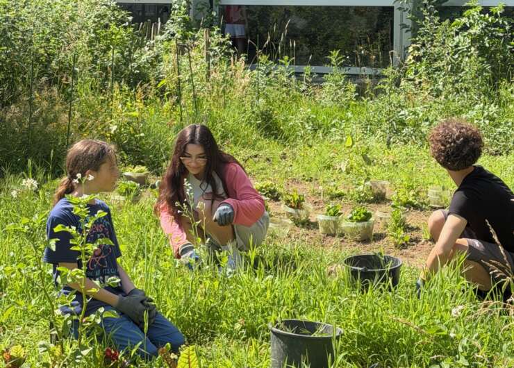 Neue Pflanzen für den Schulgarten